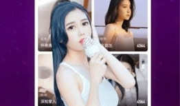 91直播sp,揭秘热门直播平台的魅力与挑战